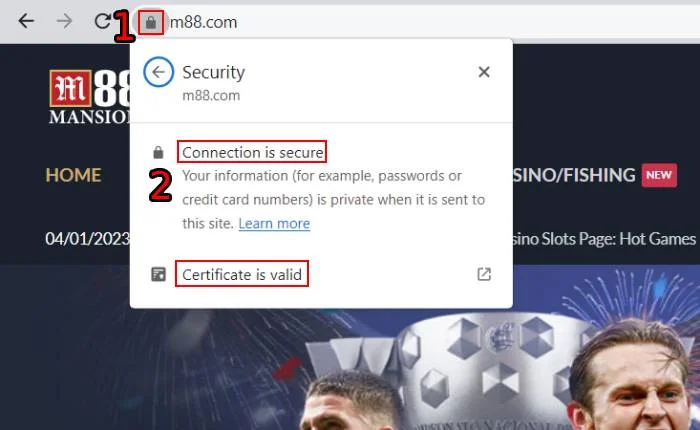 Verify SSL Certificate on Desktop